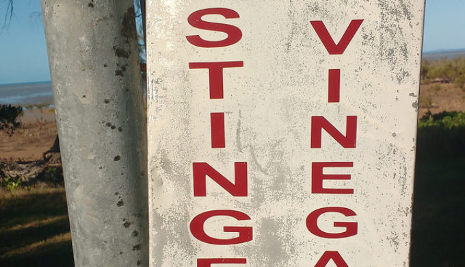 stinger vinegar